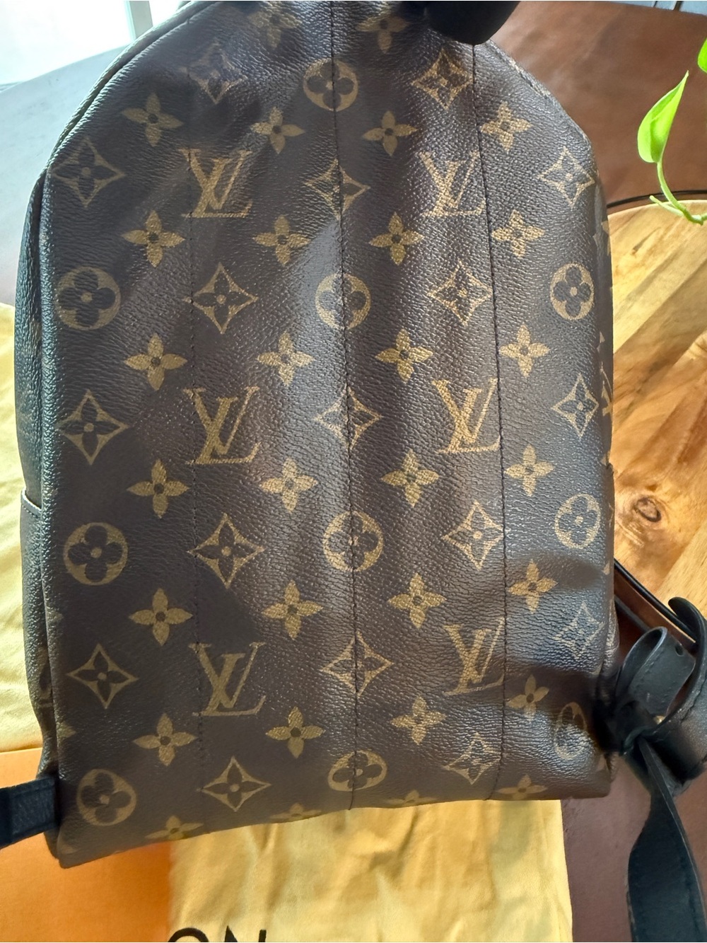 💗Authentic Louis Vuitton Palm Spring Reverse backpack PM - Picture 11 of 12